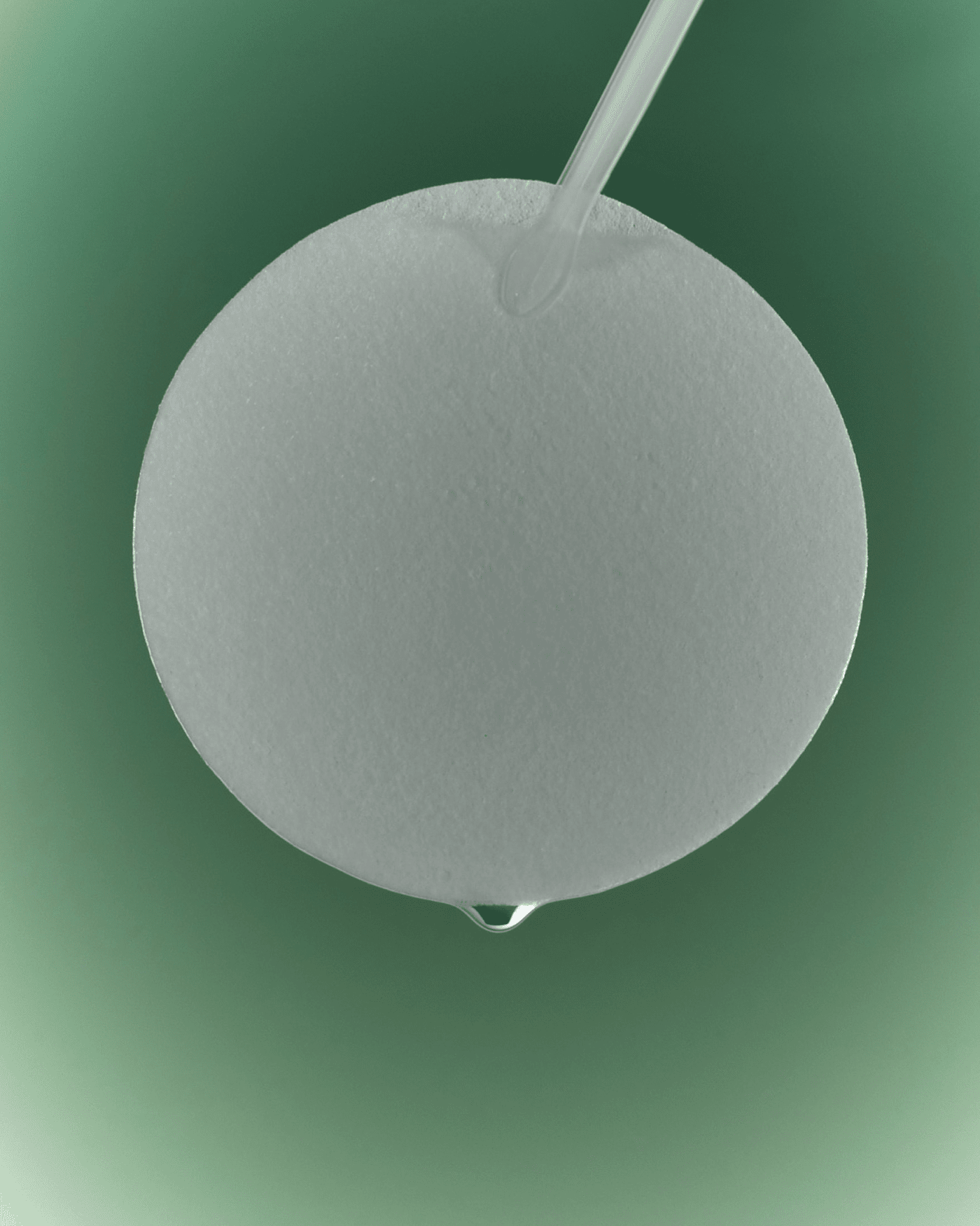 Green Flavonoid 2.5 Pads